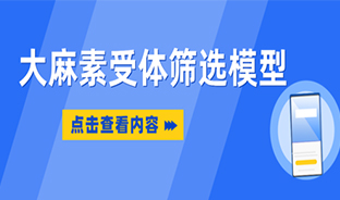 大麻素受體篩選模型