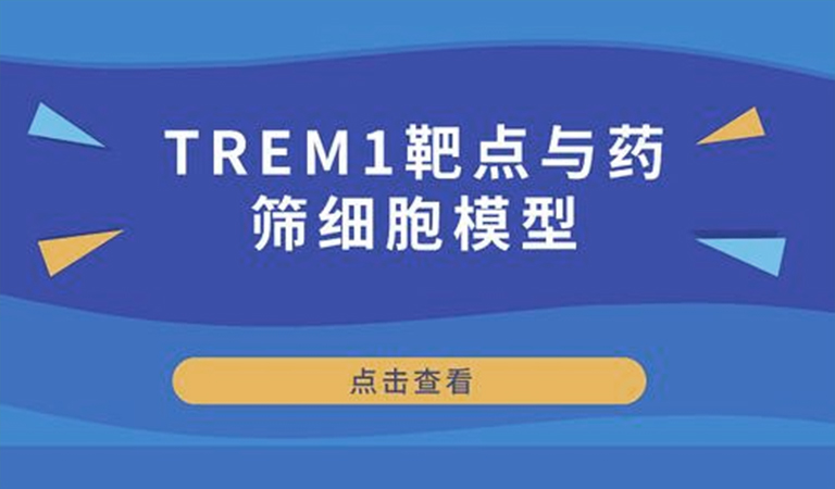 先驅(qū)還是先烈-TREM1靶點(diǎn)與藥篩細(xì)胞模型