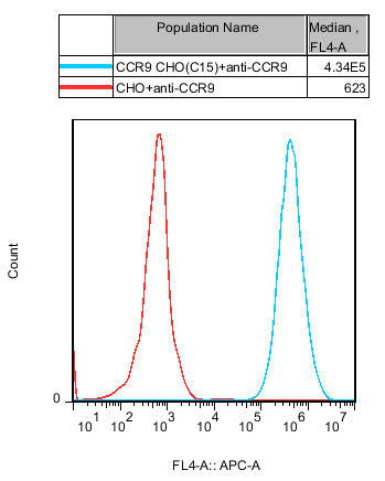 流式-71389.jpg 流式-71389.jpg